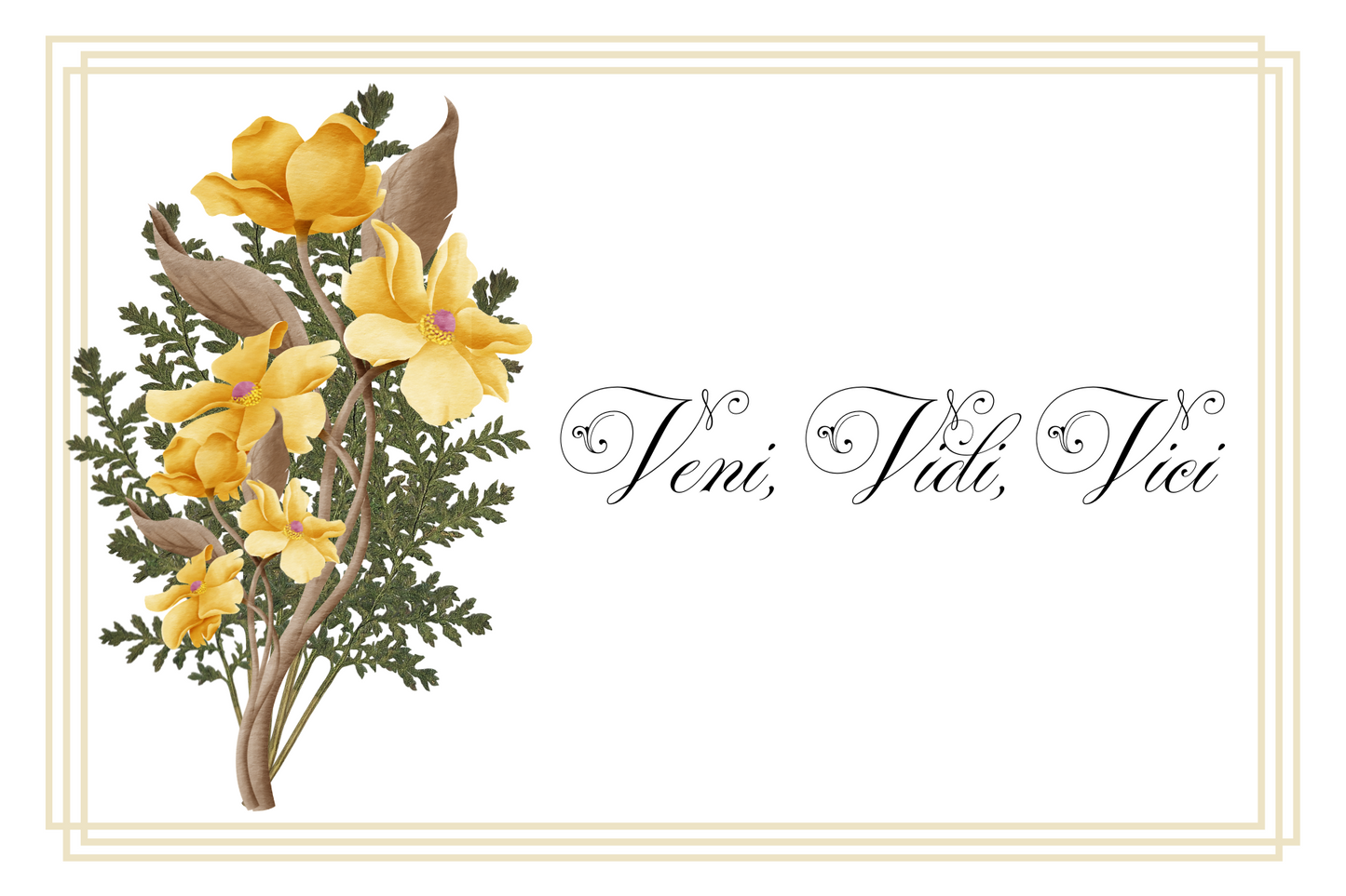 Postcards - Latin Series