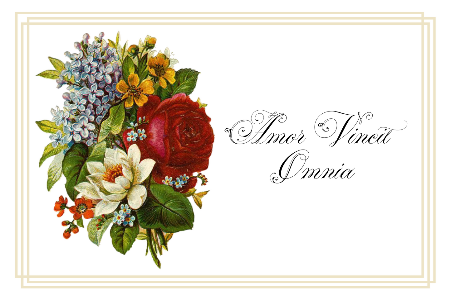 Postcards - Latin Series