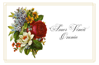 Postcards - Latin Series