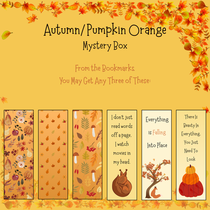 Limited Edition Autumn Mystery Box 2026