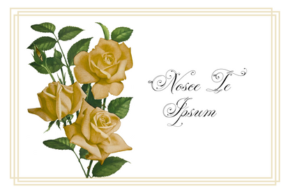 Postcards - Latin Series