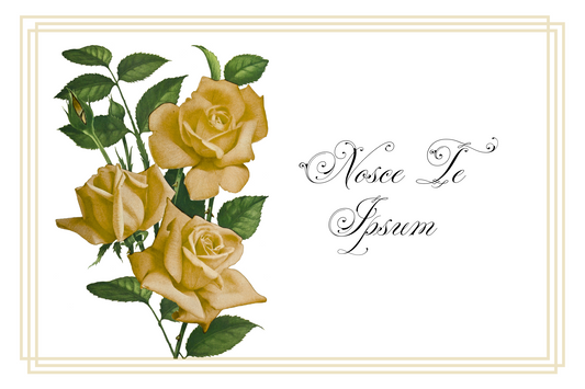 Postcards - Latin Series