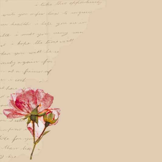 Cardstock - Bella Series