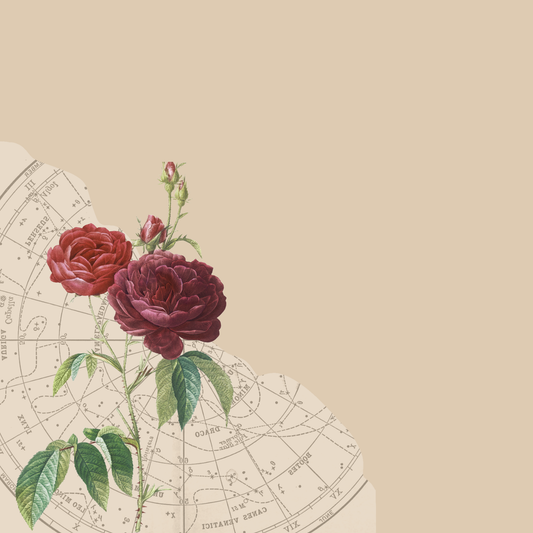 Cardstock - Bella Series