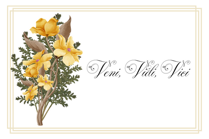 Postcards - Latin Series