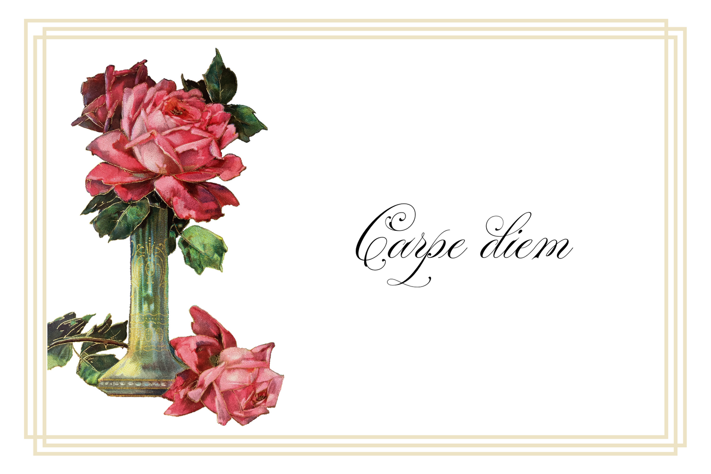 Postcards - Latin Series