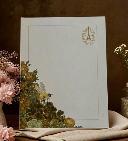 Standard Mystery Box