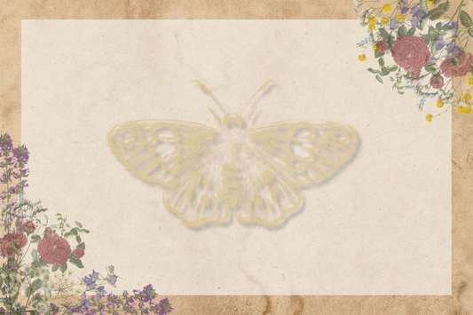 Postcards - Floral Vintage Series